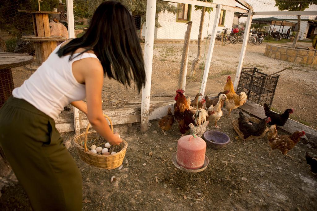 Bagban Bozcaada Bed & Breakfast ภายนอก รูปภาพ