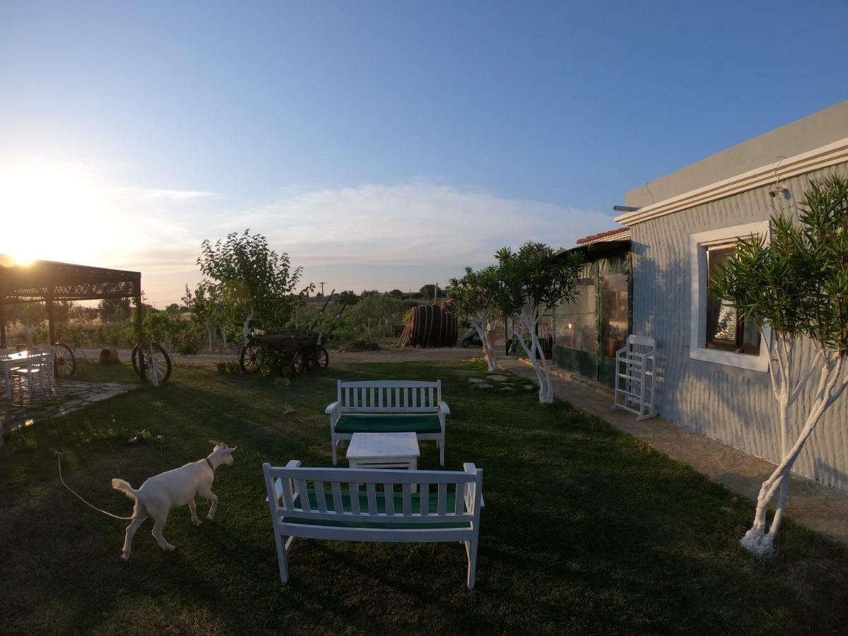 Bagban Bozcaada Bed & Breakfast ภายนอก รูปภาพ