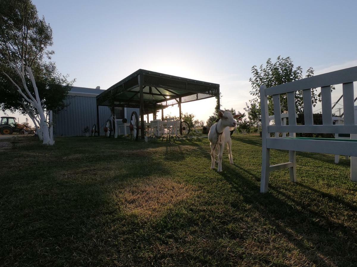 Bagban Bozcaada Bed & Breakfast ภายนอก รูปภาพ
